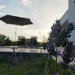 Dali Pomer Villa *
